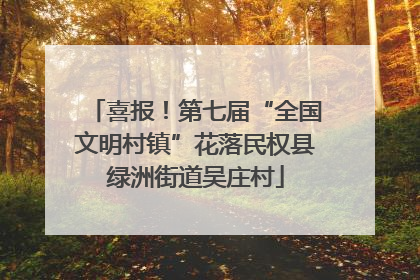 喜报！第七届“全国文明村镇”花落民权县绿洲街道吴庄村